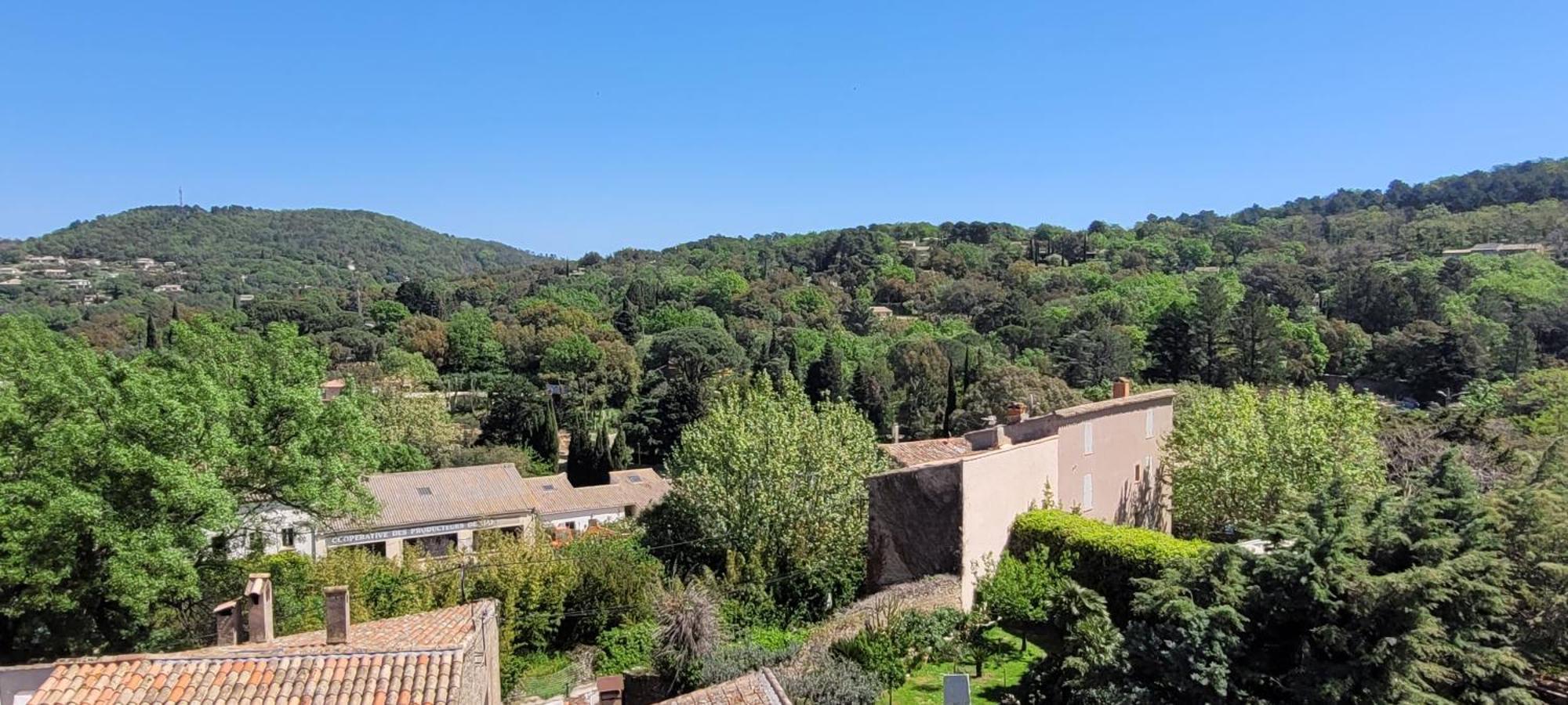 Résidence Hôtelière La Sarrazine La Garde-Freinet Exterior foto